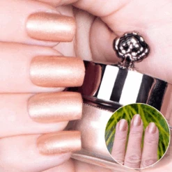 Caramel - Classic Nail Powder(Caramel)