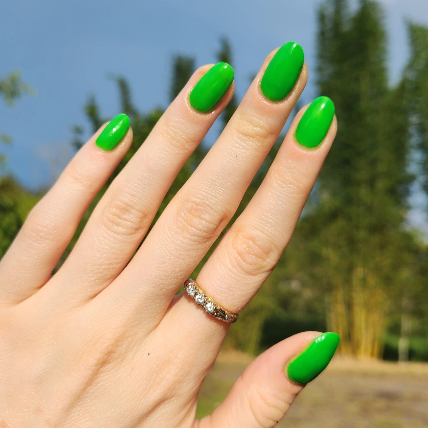 Lime - Matte Neon Nail Powder(Lime) 4 Lime - Matte Neon Nail Powder(Lime) - Image 2