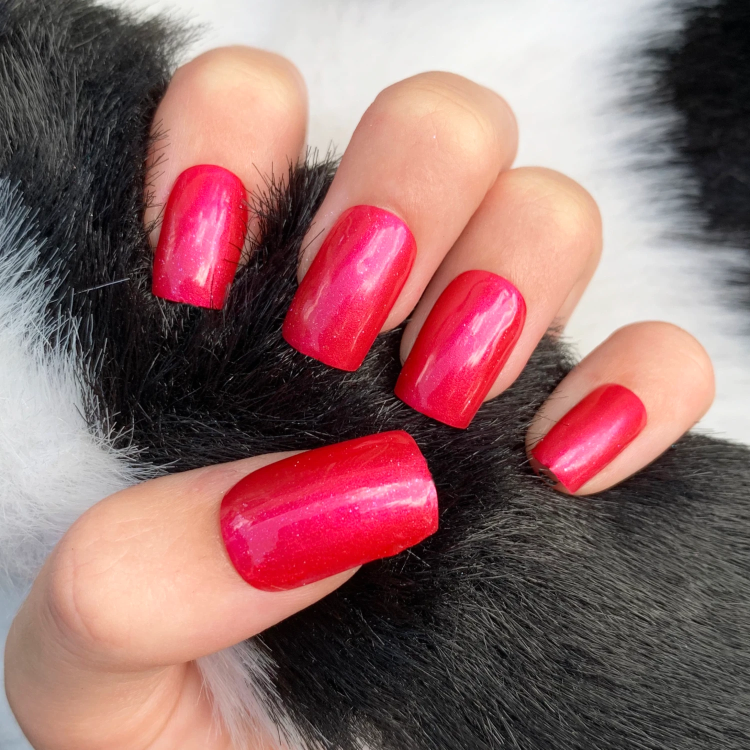 Cerise - Classic Nail Powder(Cerise) 5 Cerise - Classic Nail Powder(Cerise) - Image 3