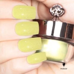 Daisy - Classic Color Changing Nail Powder(Daisy) -Sistaco Mineral Nails Store Daisy