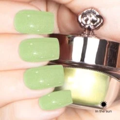 Daisy - Classic Color Changing Nail Powder(Daisy) -Sistaco Mineral Nails Store Daisy After