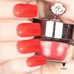 Flame - Classic Color Changing Nail Powder(Flame) -Sistaco Mineral Nails Store Flame