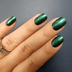 Forest Green - Classic Nail Powder(Forest Green Classic) -Sistaco Mineral Nails Store Forest Green