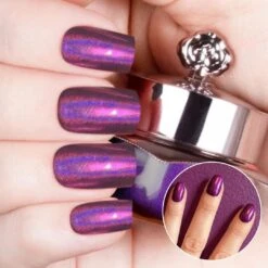 Jacaranda - Holographic Nail Powder(Free Exclusive Color 18)