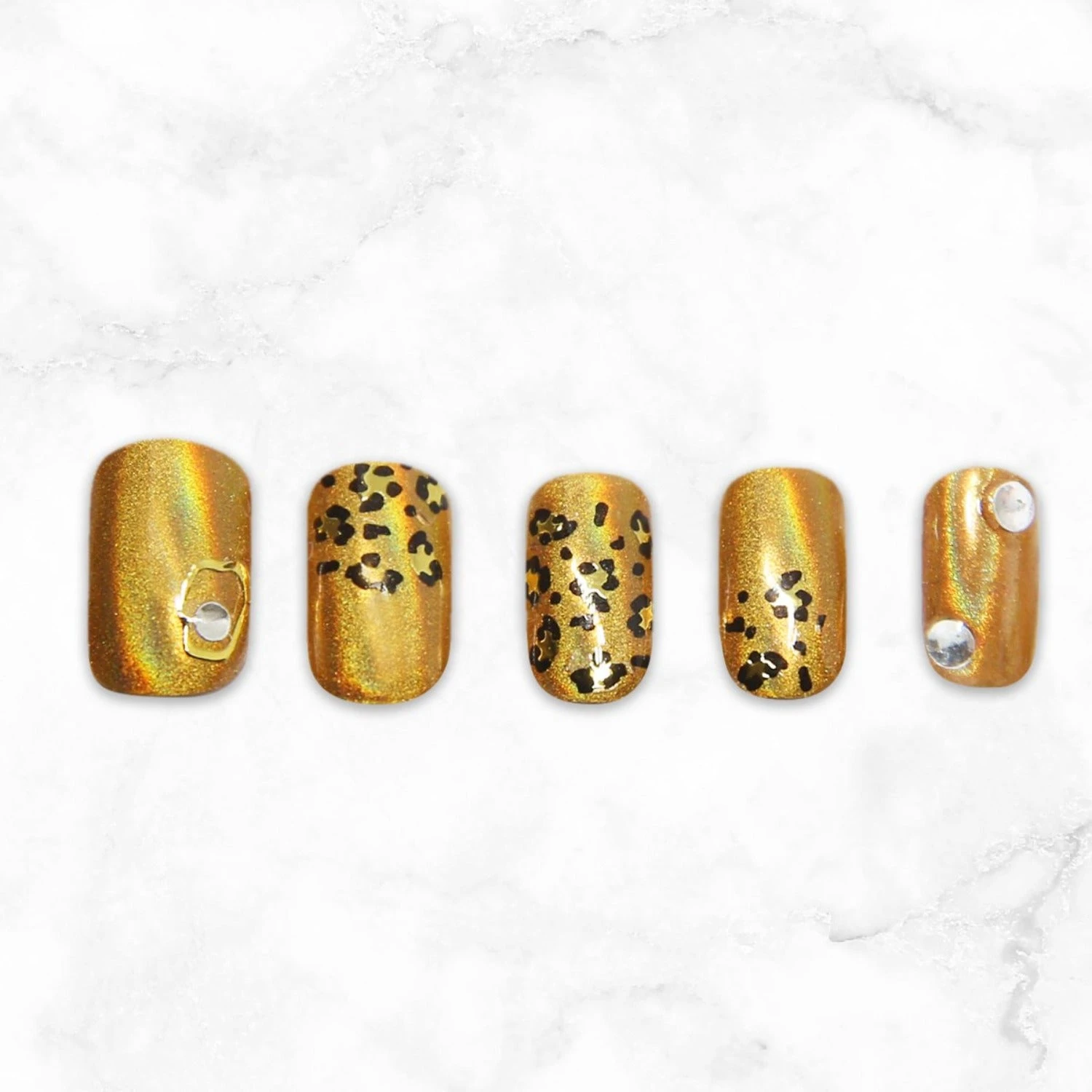 Leopard(Leopard) 5 Leopard(Leopard) - Image 3