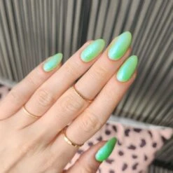 Matcha - Classic Nail Powder(Matcha) -Sistaco Mineral Nails Store Matcha 2