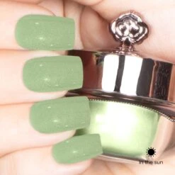 Meadow - Classic Color Changing Nail Powder(Meadow) -Sistaco Mineral Nails Store Meadow After