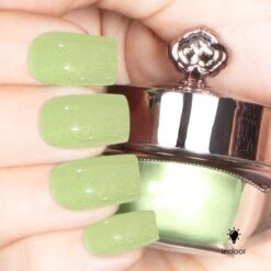 Meadow - Classic Color Changing Nail Powder(Meadow) -Sistaco Mineral Nails Store MeadowClassic