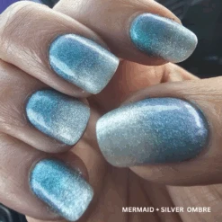 Mermaid - Classic Nail Powder(Free Exclusive Color 15) -Sistaco Mineral Nails Store Mermaid Silver