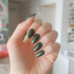 Moss - Classic Nail Powder(Moss) 13 Moss - Classic Nail Powder(Moss) -Sistaco Mineral Nails Store Moss 4