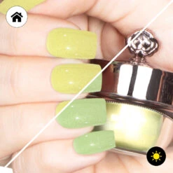 Daisy - Classic Color Changing Nail Powder(Daisy)