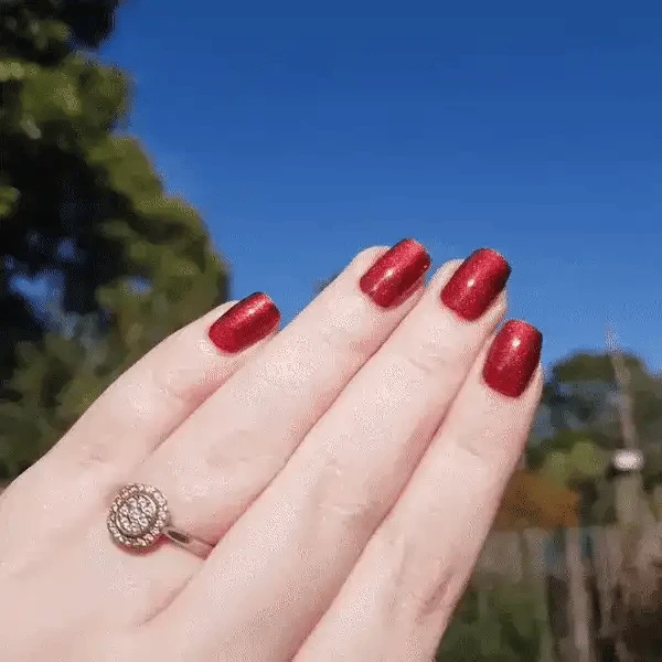 Sangria - Classic Nail Powder(Sangria Gloss) 4 Sangria - Classic Nail Powder(Sangria Gloss) - Image 2