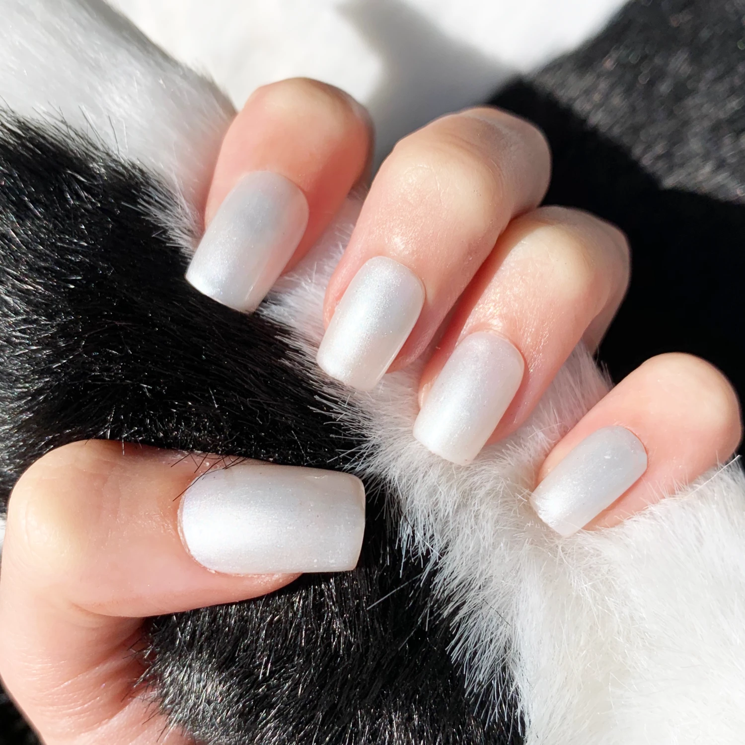 Satin - Classic Nail Powder(Satin) 7 Satin - Classic Nail Powder(Satin) - Image 5