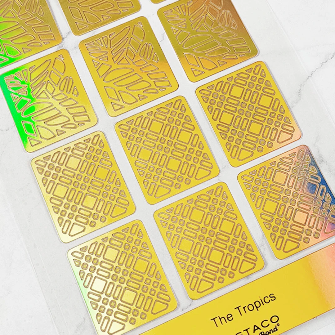 The Tropics(The Tropics) 5 The Tropics(The Tropics) - Image 3