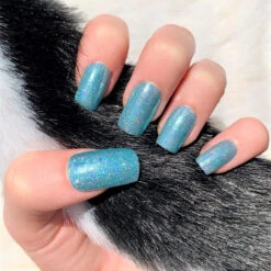 Turquoise - Holographic Nail Powder(Turquoise) 10 Turquoise - Holographic Nail Powder(Turquoise) -Sistaco Mineral Nails Store Turquiose d045c708 9552 442d 906e f17b0f4ba4f1