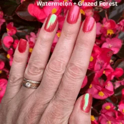 Glazed Forest - Metallic Nail Powder(Glazed Forest Metallic) 12 Glazed Forest - Metallic Nail Powder(Glazed Forest Metallic) -Sistaco Mineral Nails Store WATERMELON GLAZEDFOREST