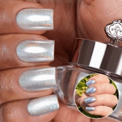 Platinum - Holographic Nail Powder(Platinum)