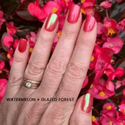 Watermelon - Classic Nail Powder(Watermelon) -Sistaco Mineral Nails Store Watermelon