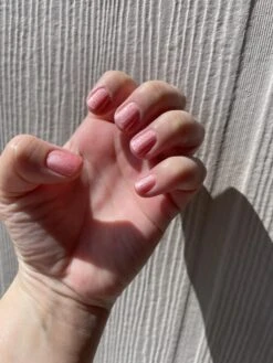 Bloom - Classic Nail Powder(Bloom) 20 Bloom - Classic Nail Powder(Bloom) -Sistaco Mineral Nails Store bloom4