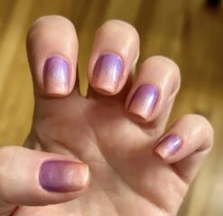 Bloom - Classic Nail Powder(Bloom) 15 Bloom - Classic Nail Powder(Bloom) -Sistaco Mineral Nails Store bloom mauve