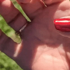 Red - Metallic Nail Powder(Red Metallic) 9 Red - Metallic Nail Powder(Red Metallic) -Sistaco Mineral Nails Store ezgifcom gif maker 1fa0c9b8 13fa 4b5c 9095 d11128c9eb43