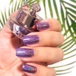Violet Sky - Holographic Nail Powder(Violet Sky Holographic) -Sistaco Mineral Nails Store shazrochavioletsky