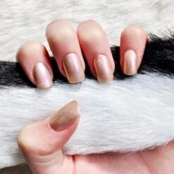 Tawny - Classic Nail Powder(Tawny 1) -Sistaco Mineral Nails Store tawny